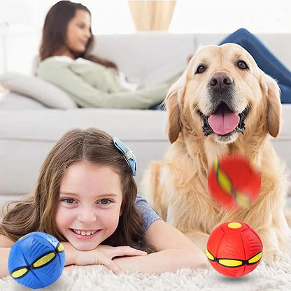 Pet Toy Flying Saucer